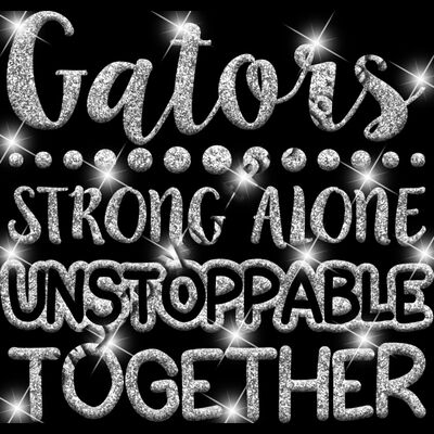 GLT87 SILVER GLITTER Thumbnail