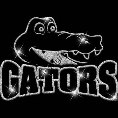 GLT32 SILVER GLITTER Thumbnail